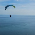 FPG 2017-Portugal-Paragliding-Papillon-202