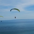FPG 2017-Portugal-Paragliding-Papillon-203