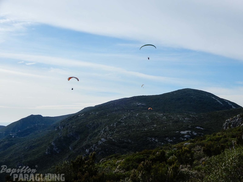 FPG 2017-Portugal-Paragliding-Papillon-205