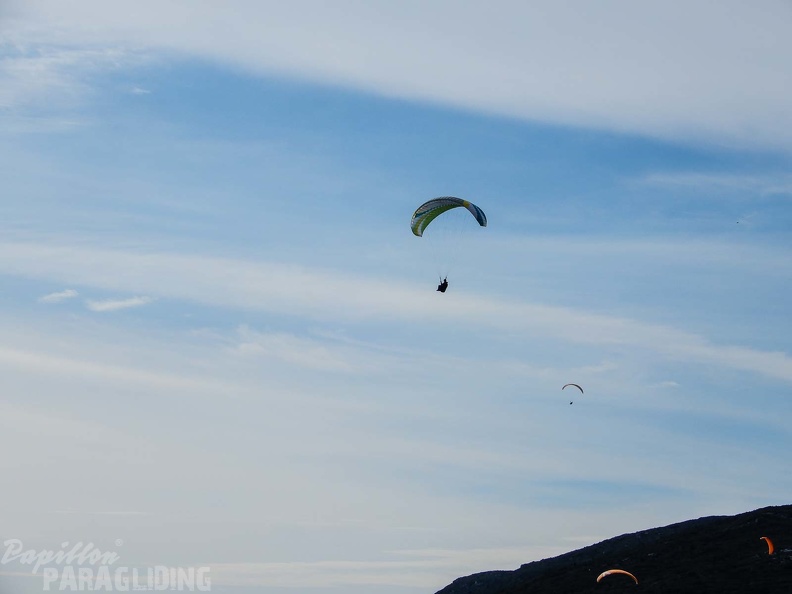FPG 2017-Portugal-Paragliding-Papillon-206