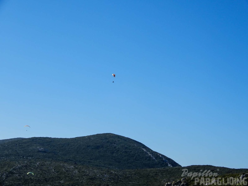 FPG 2017-Portugal-Paragliding-Papillon-234