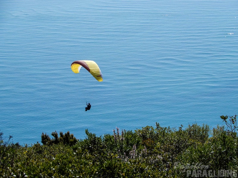 FPG 2017-Portugal-Paragliding-Papillon-240