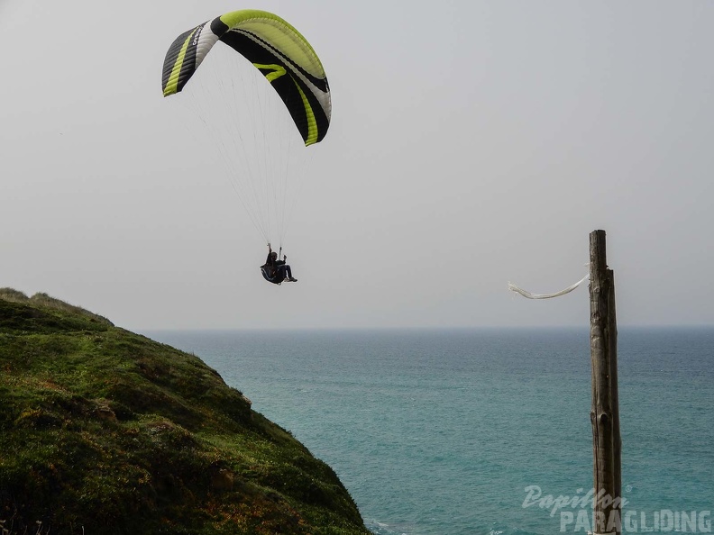 FPG 2017-Portugal-Paragliding-Papillon-280