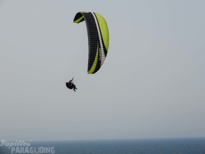 FPG 2017-Portugal-Paragliding-Papillon-281