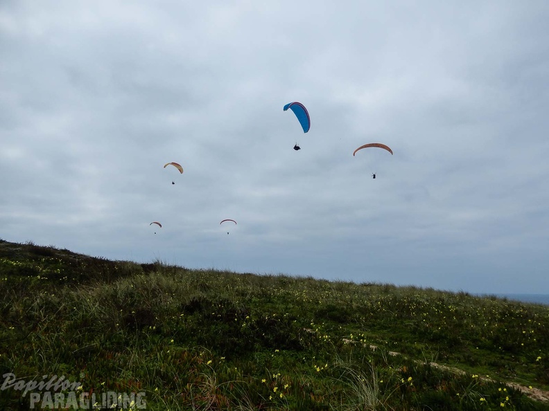FPG 2017-Portugal-Paragliding-Papillon-293