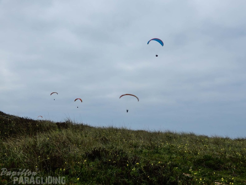 FPG 2017-Portugal-Paragliding-Papillon-299