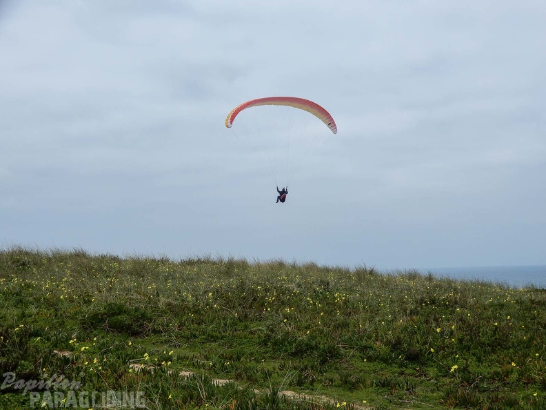 FPG 2017-Portugal-Paragliding-Papillon-305
