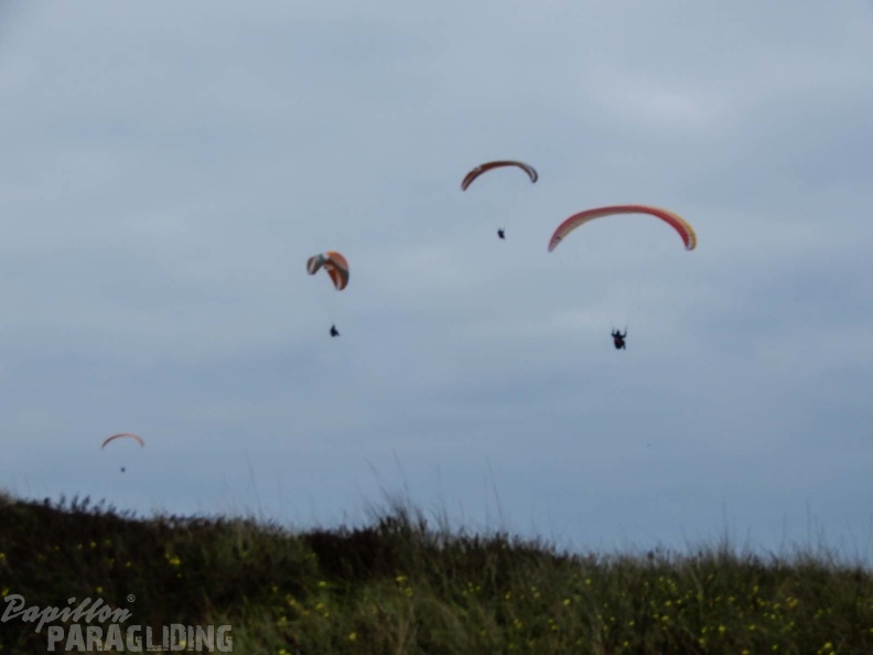 FPG 2017-Portugal-Paragliding-Papillon-306