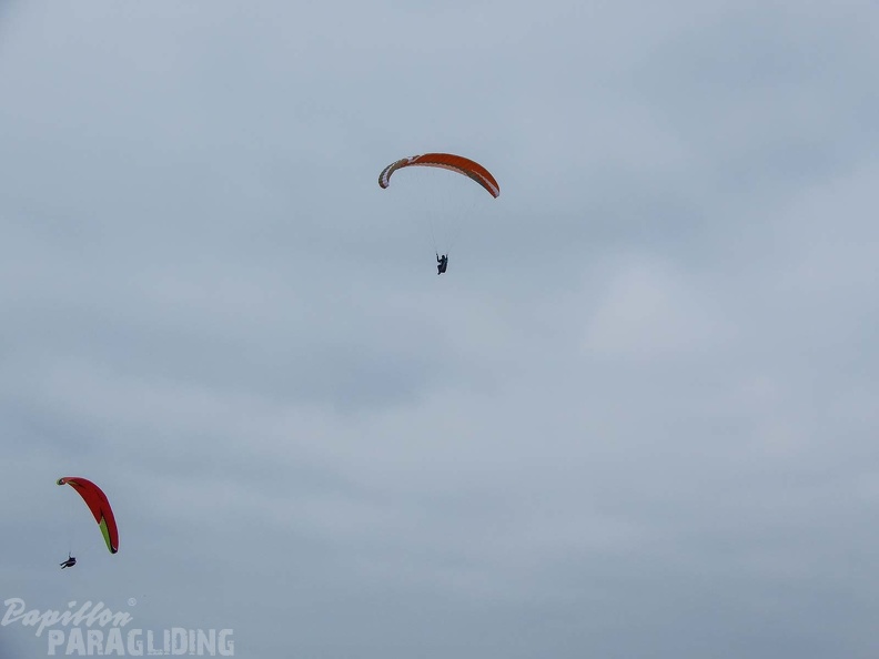FPG 2017-Portugal-Paragliding-Papillon-311