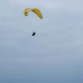 FPG 2017-Portugal-Paragliding-Papillon-318