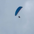 FPG 2017-Portugal-Paragliding-Papillon-319