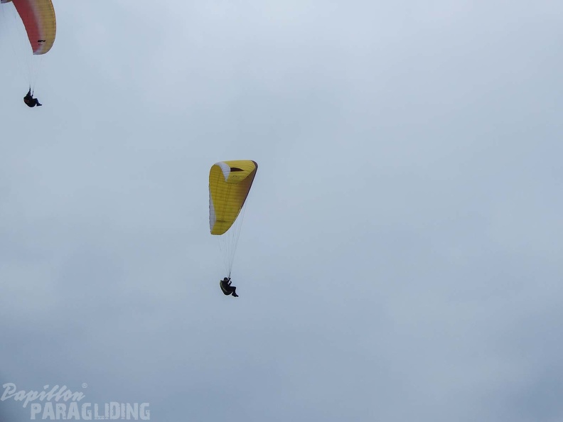FPG 2017-Portugal-Paragliding-Papillon-320
