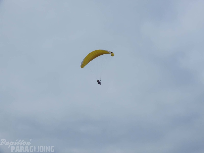 FPG 2017-Portugal-Paragliding-Papillon-321