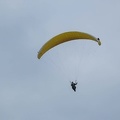 FPG 2017-Portugal-Paragliding-Papillon-322