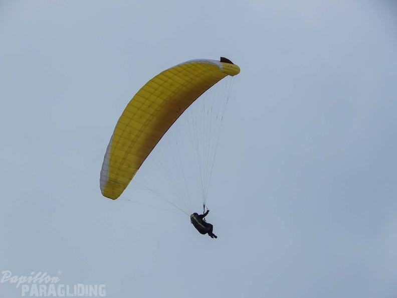 FPG 2017-Portugal-Paragliding-Papillon-323