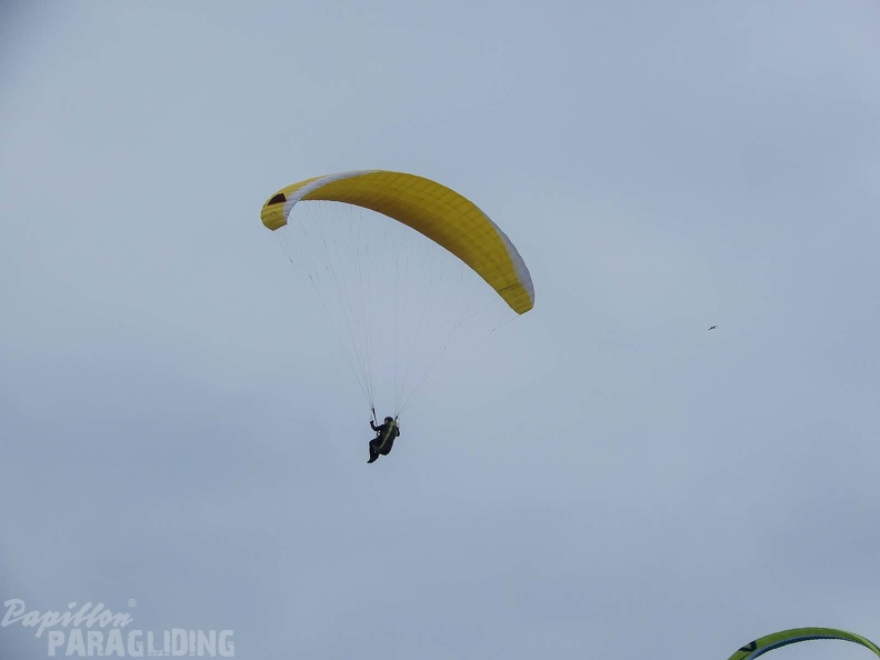 FPG 2017-Portugal-Paragliding-Papillon-324