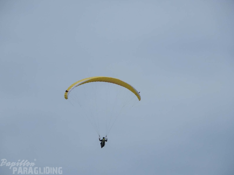 FPG 2017-Portugal-Paragliding-Papillon-325