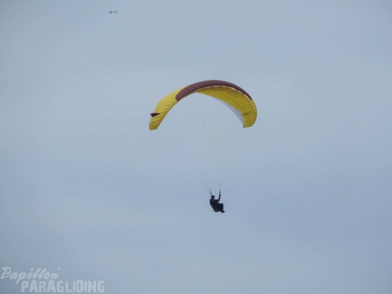 FPG 2017-Portugal-Paragliding-Papillon-327