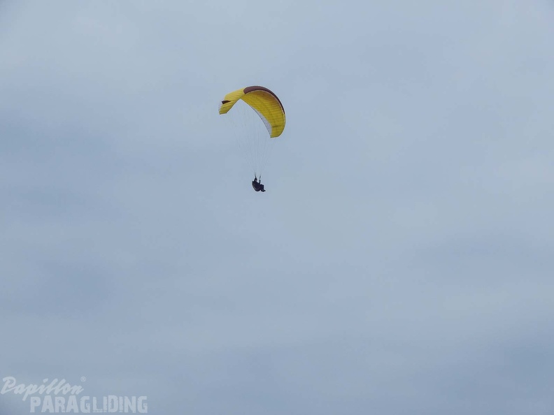 FPG 2017-Portugal-Paragliding-Papillon-328