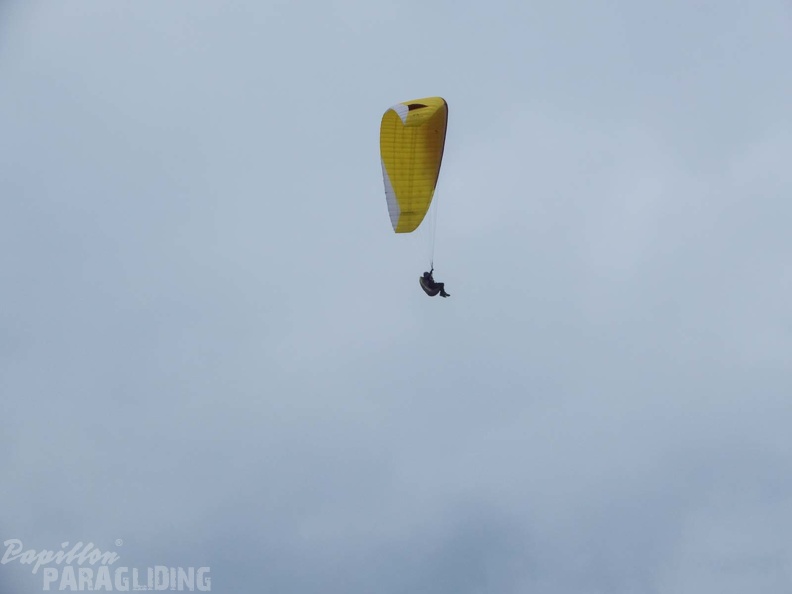 FPG 2017-Portugal-Paragliding-Papillon-329