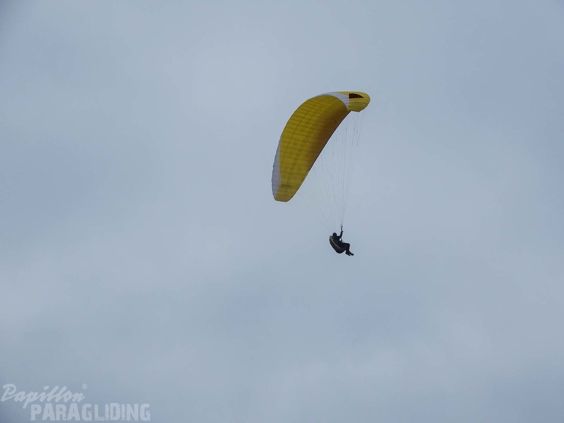 FPG 2017-Portugal-Paragliding-Papillon-330