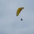 FPG 2017-Portugal-Paragliding-Papillon-330