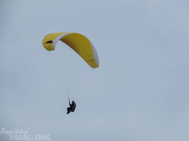 FPG 2017-Portugal-Paragliding-Papillon-331