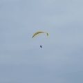 FPG 2017-Portugal-Paragliding-Papillon-332