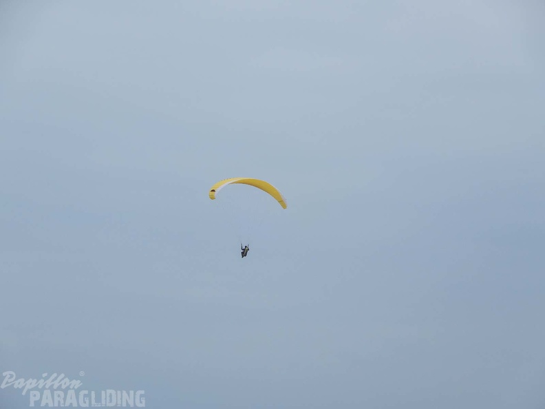 FPG 2017-Portugal-Paragliding-Papillon-335