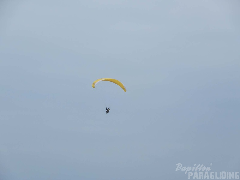 FPG 2017-Portugal-Paragliding-Papillon-335