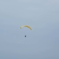 FPG 2017-Portugal-Paragliding-Papillon-335