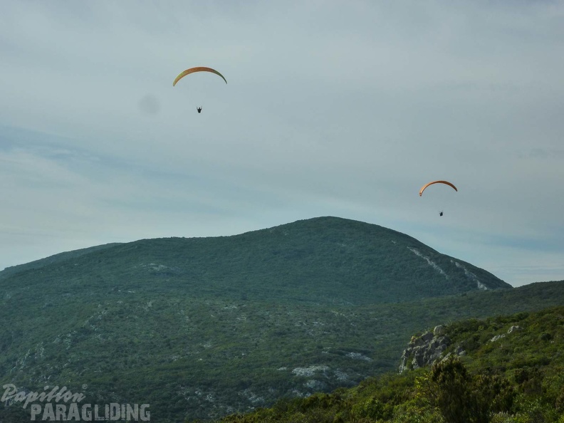 FPG 2017-Portugal-Paragliding-Papillon-362