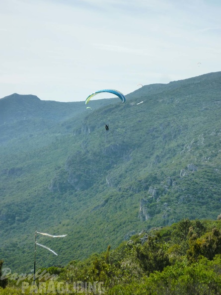 FPG 2017-Portugal-Paragliding-Papillon-369