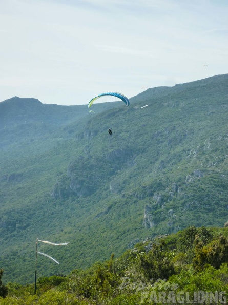 FPG 2017-Portugal-Paragliding-Papillon-369