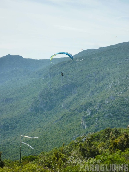 FPG 2017-Portugal-Paragliding-Papillon-369