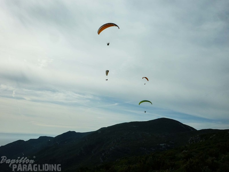 FPG 2017-Portugal-Paragliding-Papillon-382
