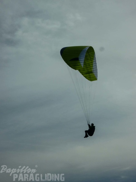FPG 2017-Portugal-Paragliding-Papillon-387