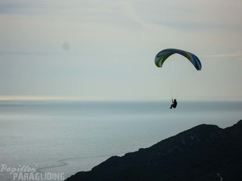 FPG 2017-Portugal-Paragliding-Papillon-389