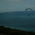 FPG 2017-Portugal-Paragliding-Papillon-395