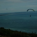 FPG 2017-Portugal-Paragliding-Papillon-395