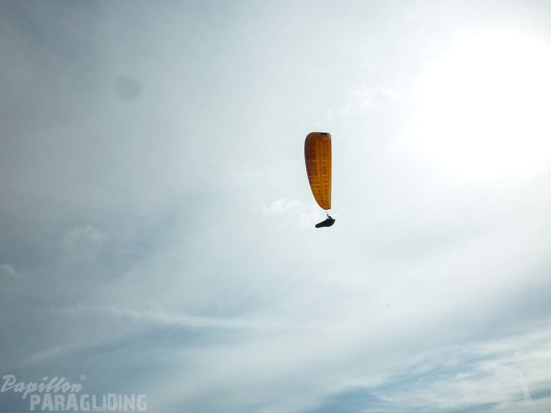 FPG 2017-Portugal-Paragliding-Papillon-399