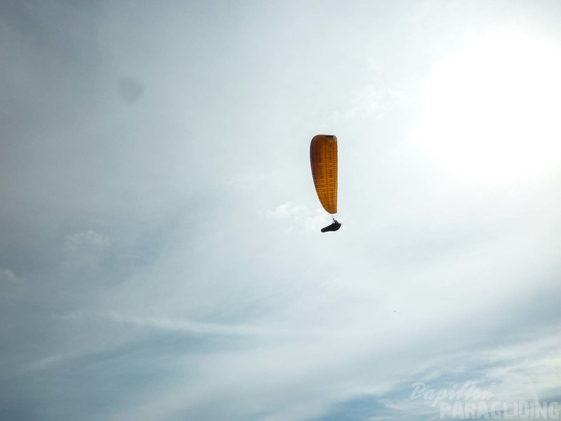 FPG_2017-Portugal-Paragliding-Papillon-399.jpg