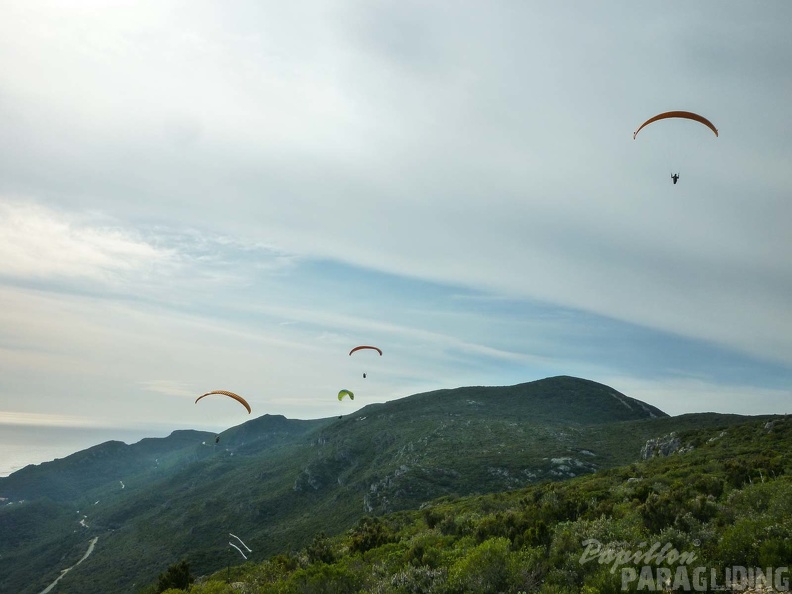 FPG 2017-Portugal-Paragliding-Papillon-400