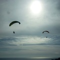 FPG 2017-Portugal-Paragliding-Papillon-402