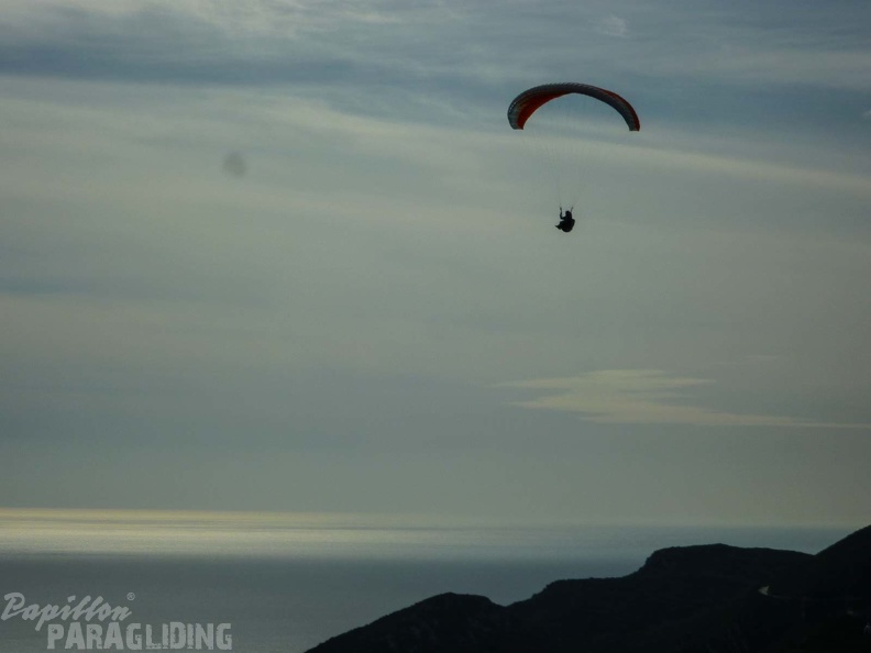 FPG 2017-Portugal-Paragliding-Papillon-405