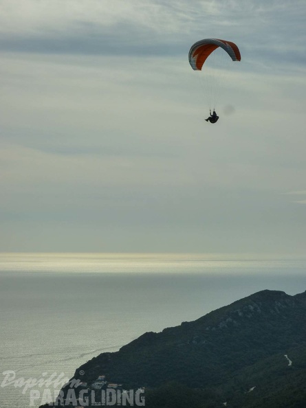 FPG 2017-Portugal-Paragliding-Papillon-406