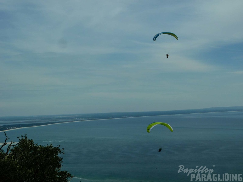 FPG_2017-Portugal-Paragliding-Papillon-415.jpg