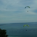 FPG 2017-Portugal-Paragliding-Papillon-415