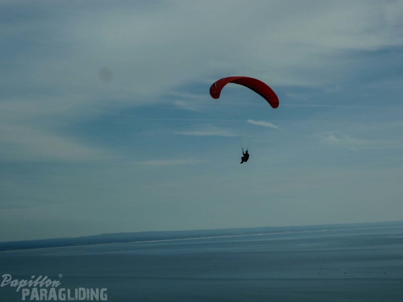 FPG 2017-Portugal-Paragliding-Papillon-419