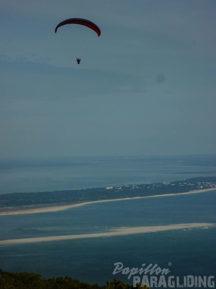 FPG 2017-Portugal-Paragliding-Papillon-443